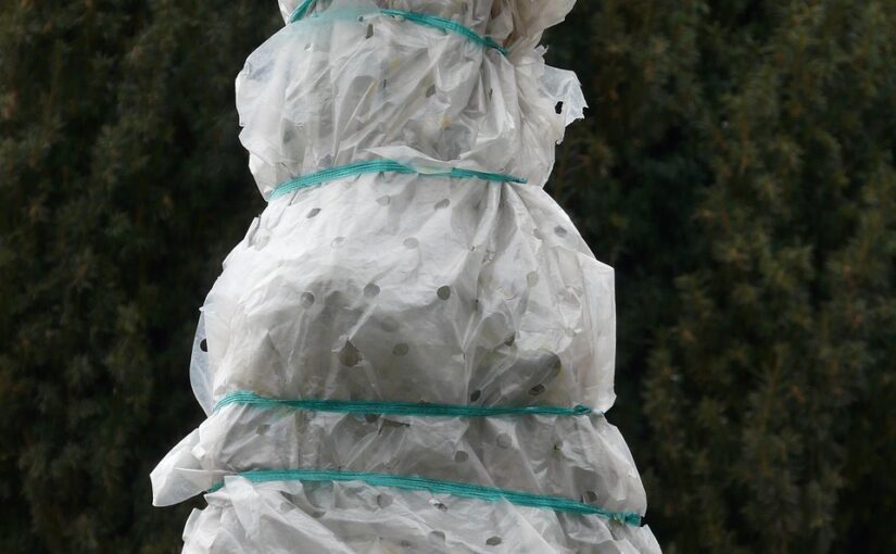 Agrowłóknina – fundament zdrowego i wydajnego ogrodu